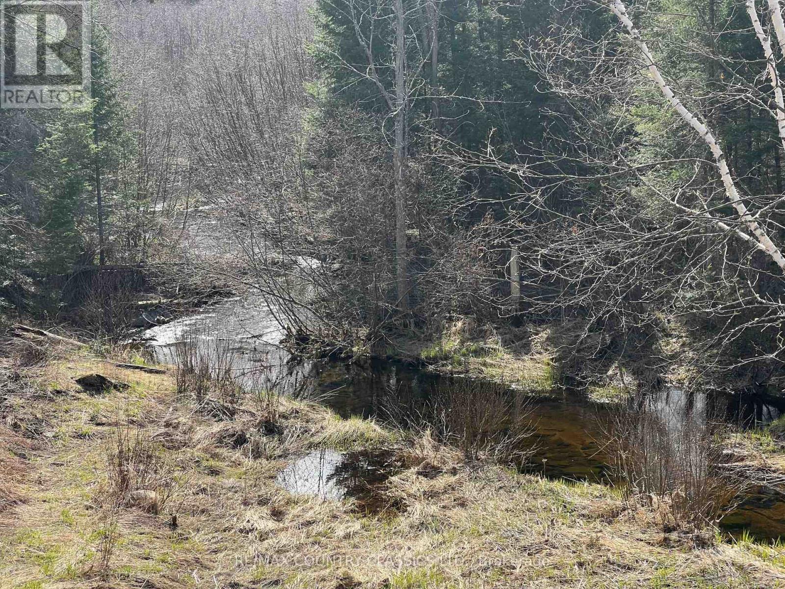 634 Lower Turriff Road, Bancroft, Ontario  K0L 2L0 - Photo 4 - X12960390