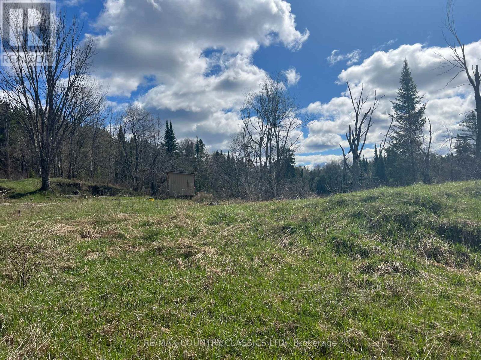 634 Lower Turriff Road, Bancroft, Ontario  K0L 2L0 - Photo 43 - X12960390