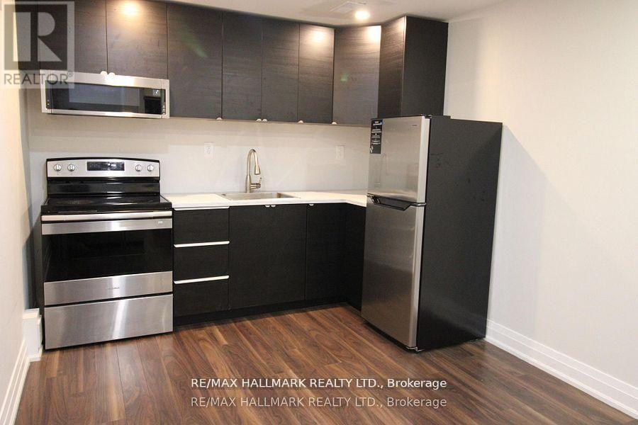Lower - 158 Kingshill Road, Richmond Hill, Ontario  L4E 4V5 - Photo 4 - N13099876