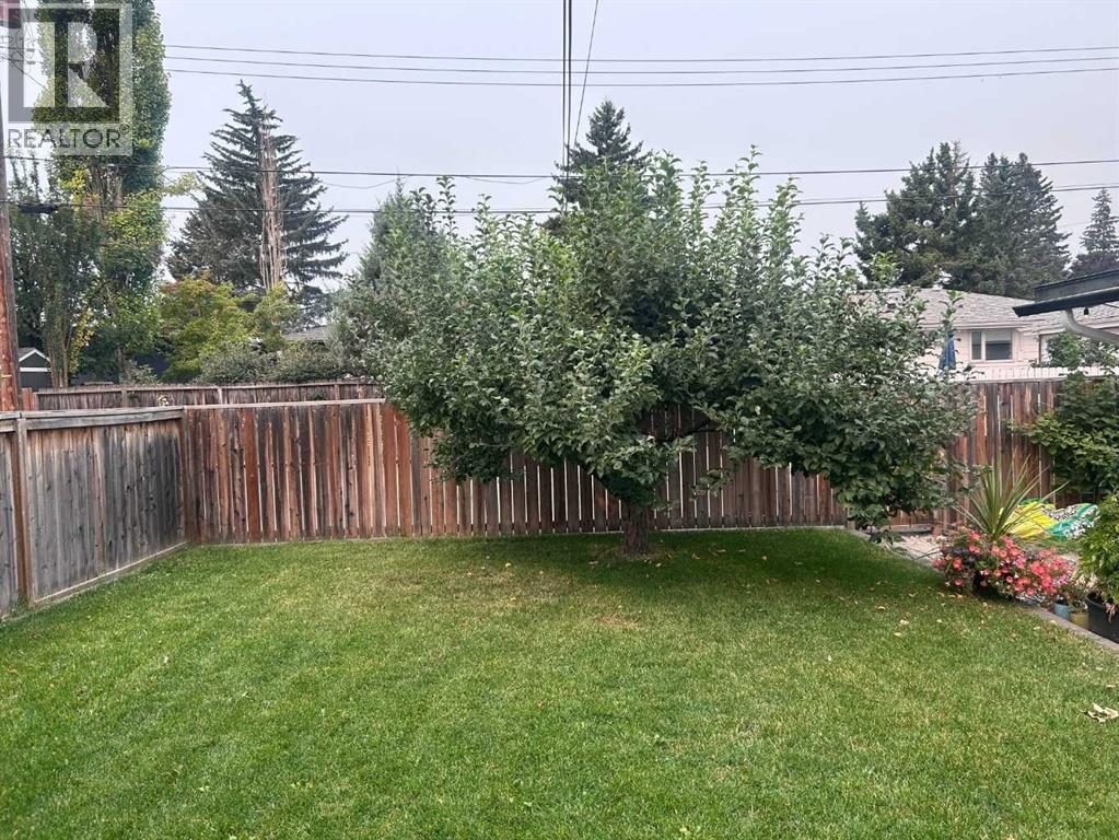 picture 41
