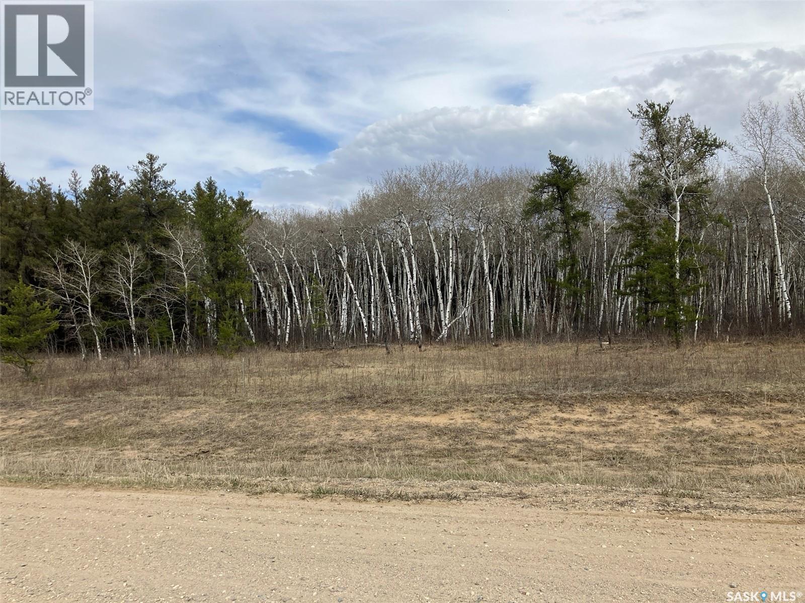 1 Aspen Way, Nipawin Rm No. 487, Saskatchewan  S0E 1E0 - Photo 10 - SK035352