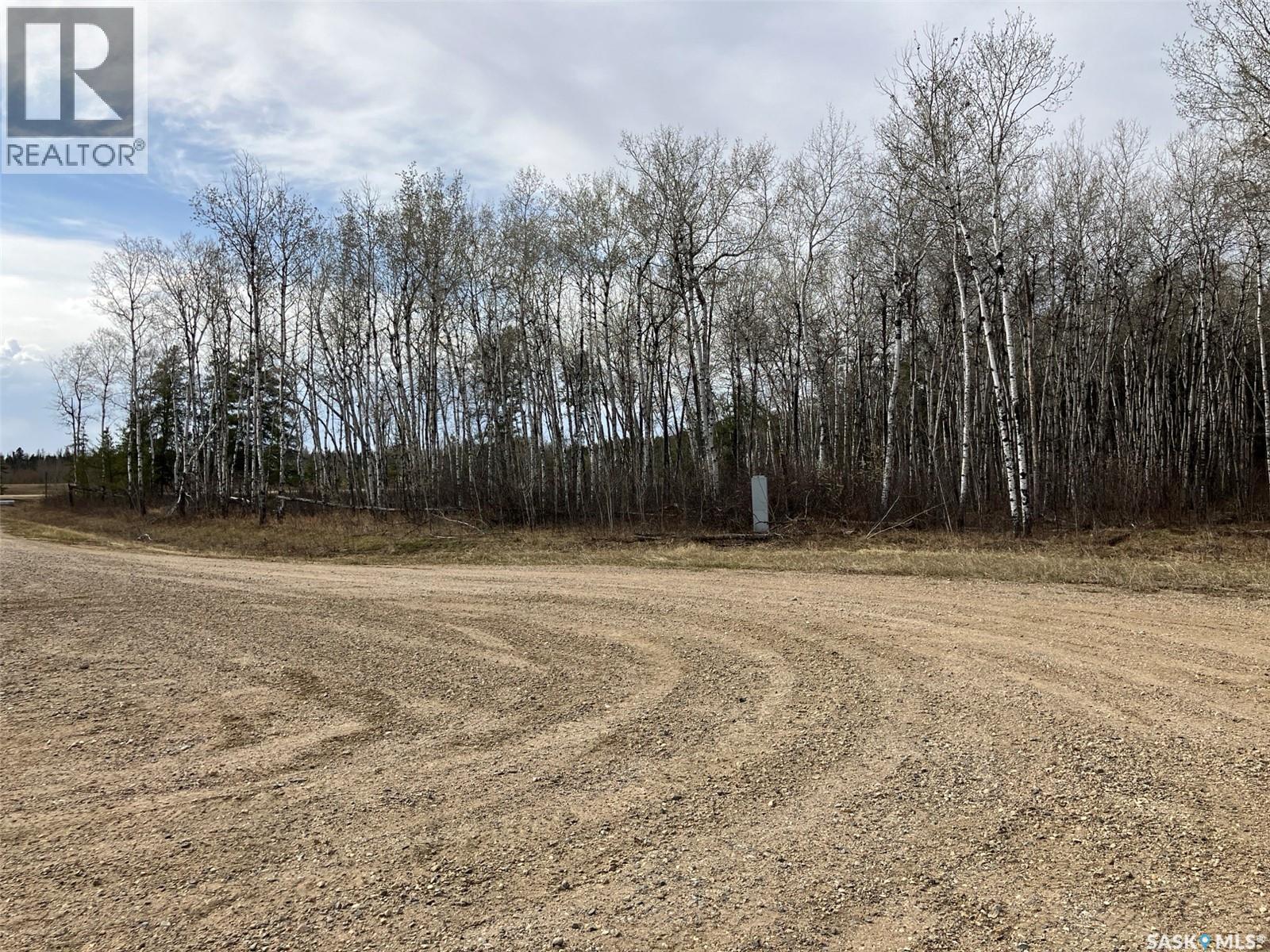 1 Aspen Way, Nipawin Rm No. 487, Saskatchewan  S0E 1E0 - Photo 7 - SK035352