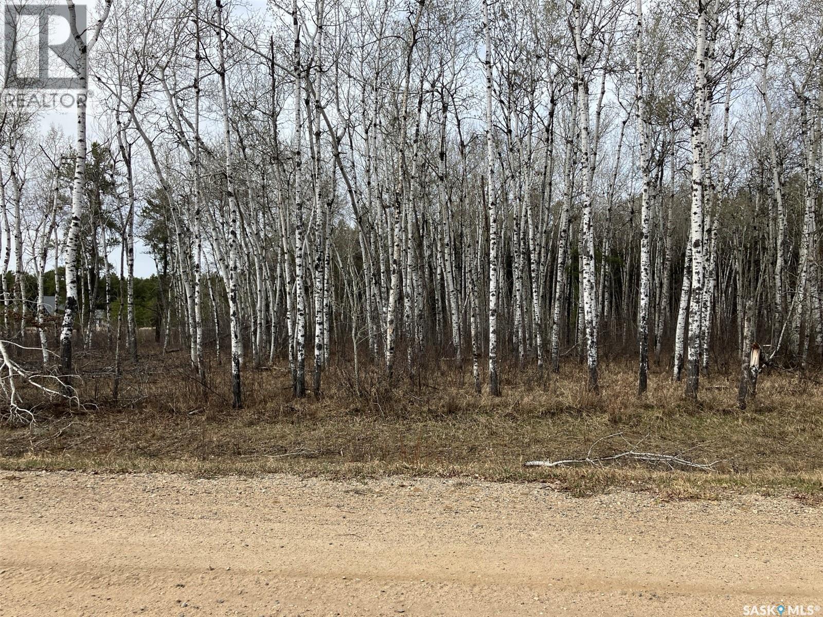 1 Aspen Way, Nipawin Rm No. 487, Saskatchewan  S0E 1E0 - Photo 9 - SK035352