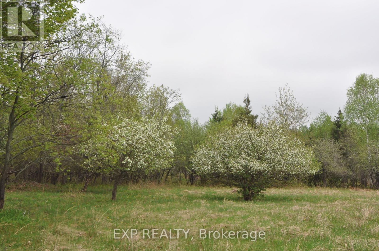 98 Kennedy Road, Carlow/mayo, Ontario  K0L 1G0 - Photo 46 - X13015304