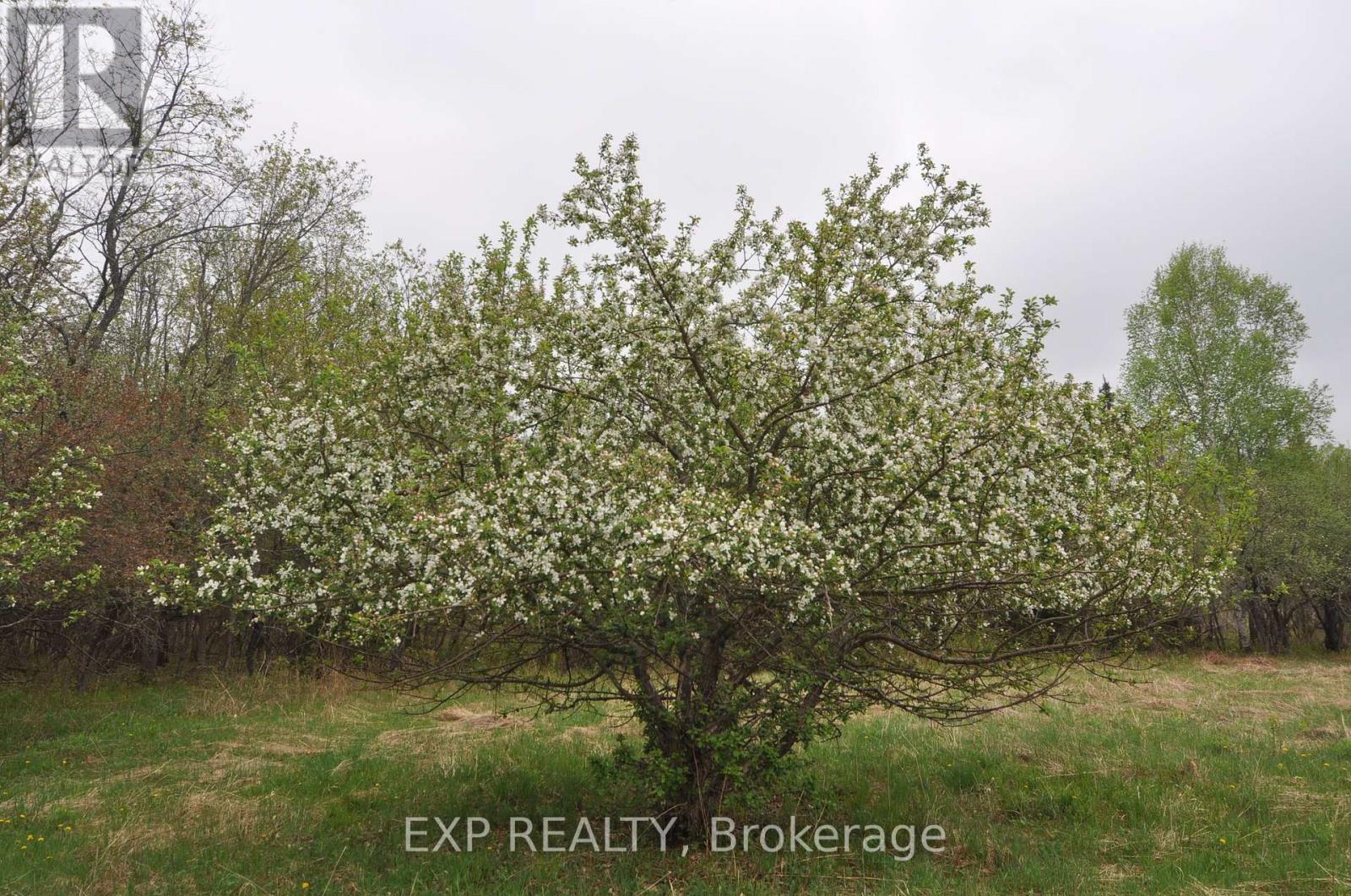 98 Kennedy Road, Carlow/mayo, Ontario  K0L 1G0 - Photo 48 - X13015304