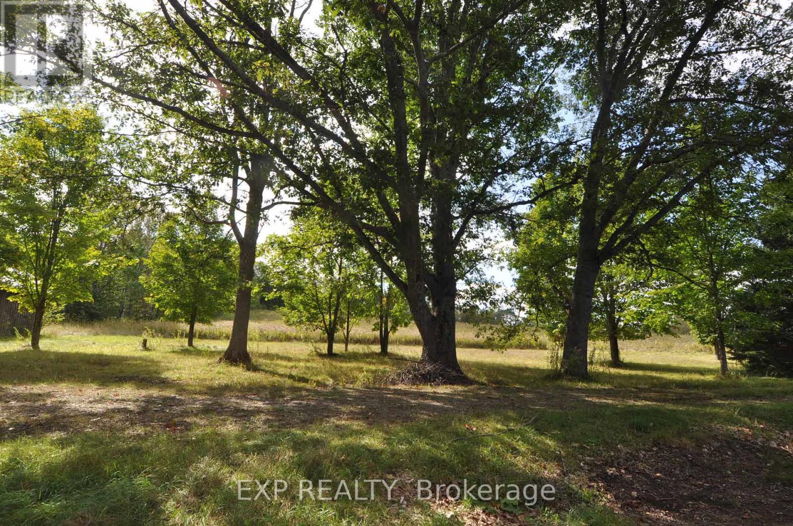 98 Kennedy Road, Carlow/mayo, Ontario  K0L 1G0 - Photo 49 - X13015304