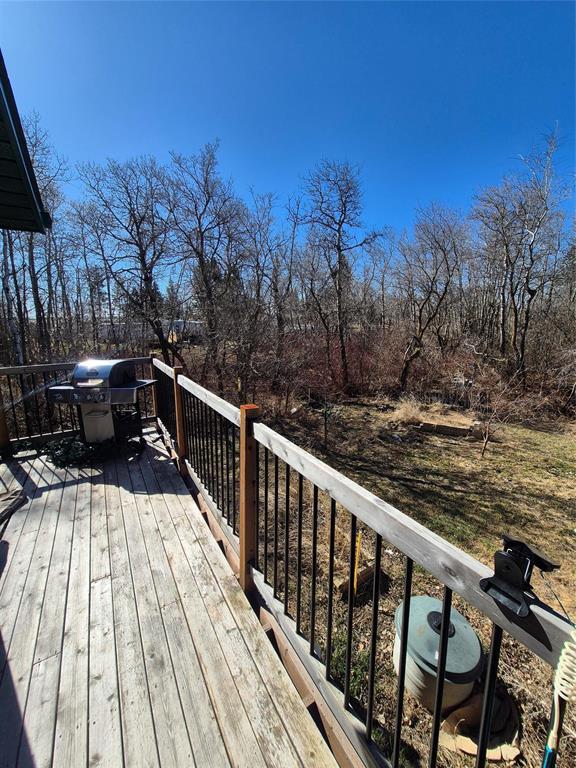 53 Railway Avenue, Clanwilliam, Manitoba  R0J 0K0 - Photo 15 - 202602156