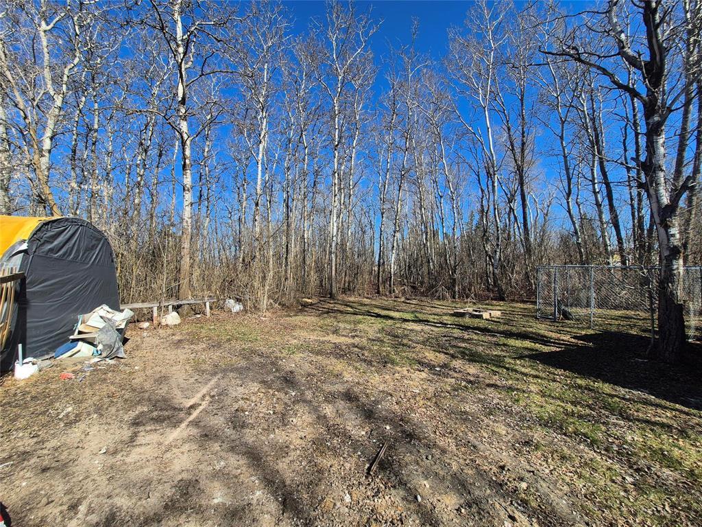 53 Railway Avenue, Clanwilliam, Manitoba  R0J 0K0 - Photo 18 - 202602156