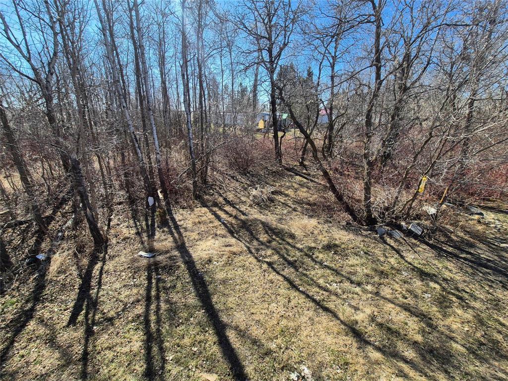 53 Railway Avenue, Clanwilliam, Manitoba  R0J 0K0 - Photo 16 - 202602156