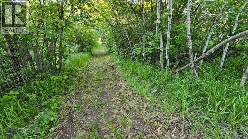 5314 Municipal Road, Coronation, Alberta  T0C 1C0 - Photo 43 - A2223635