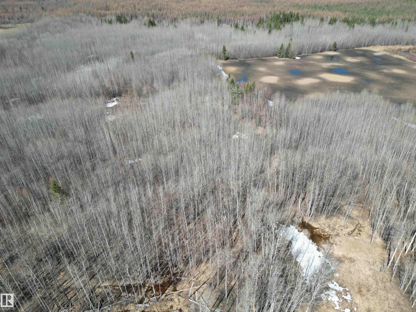 640052 Rge Road 233, Rural Athabasca County, Alberta  T0G 1T0 - Photo 53 - E4486457