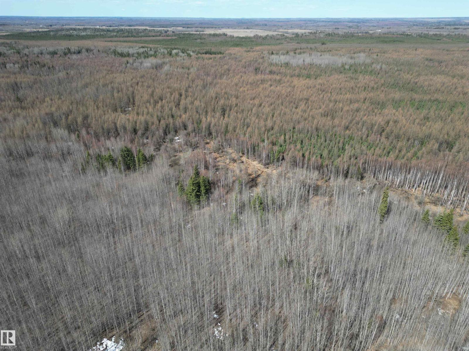 640052 Rge Road 233, Rural Athabasca County, Alberta  T0G 1T0 - Photo 55 - E4486457