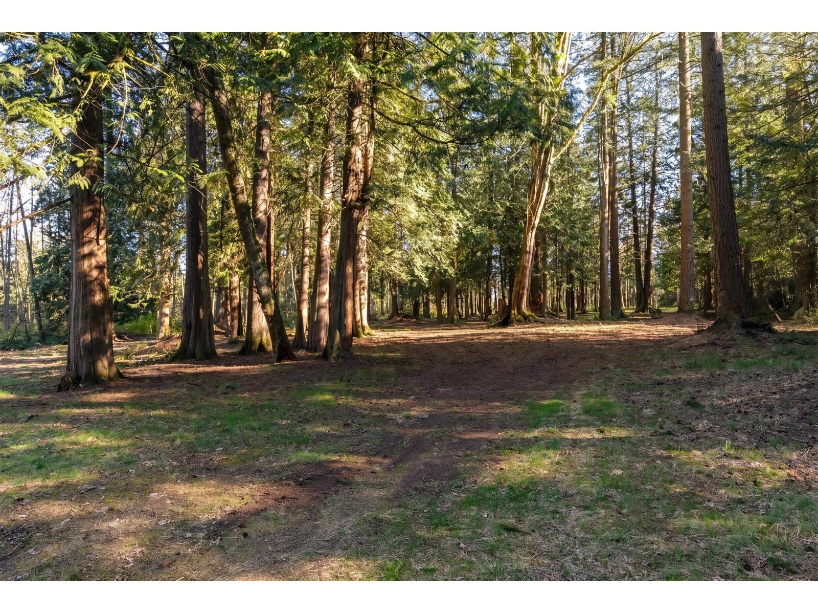 17438 28 Avenue, Surrey, British Columbia V3Z 0E7 - Photo 36 - R3115233