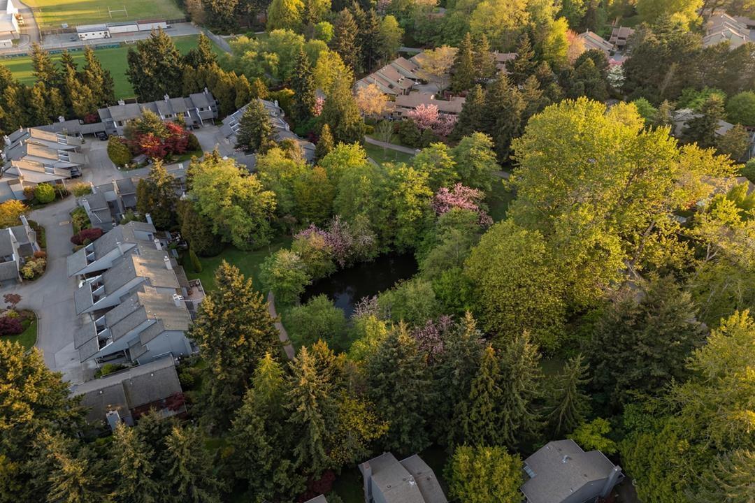15951 Alder Place, Surrey, British Columbia  V4A 5J1 - Photo 36 - R3117217