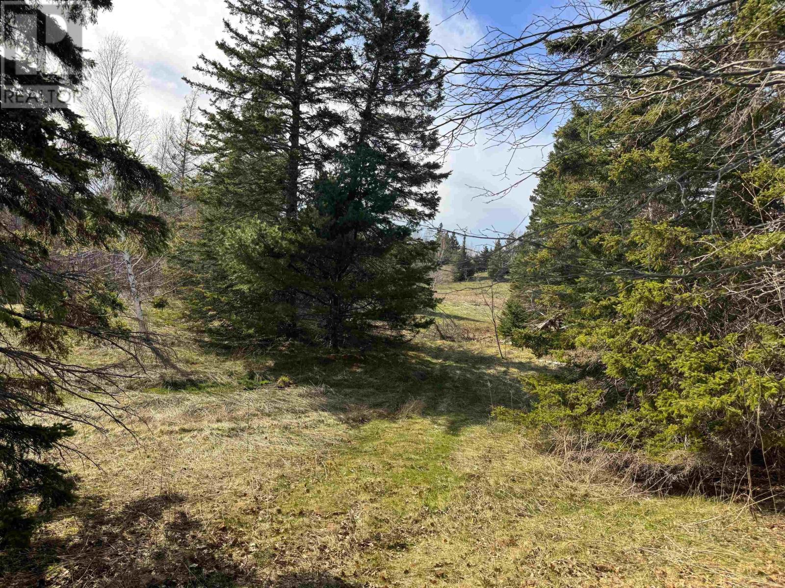 Orangedale-Iona Road, West Alba, Nova Scotia  B0E 3M0 - Photo 5 - 202610156