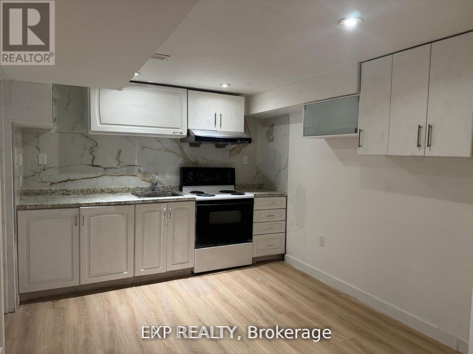 Basement - 210 Church Street, Georgina, Ontario  L4P 1J8 - Photo 2 - N13100576