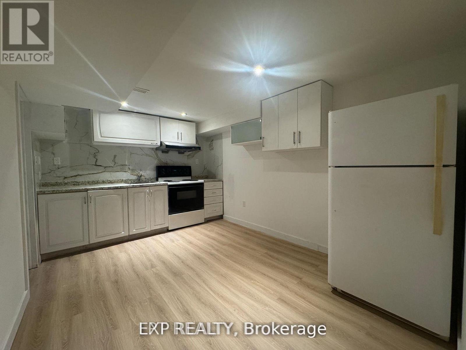 Basement - 210 Church Street, Georgina, Ontario  L4P 1J8 - Photo 3 - N13100576
