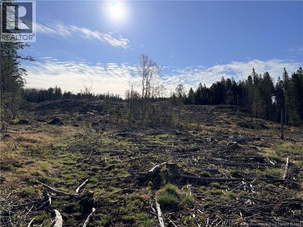 Lot C Smith Road, Titusville, New Brunswick  E5N 3T9 - Photo 6 - NB137343