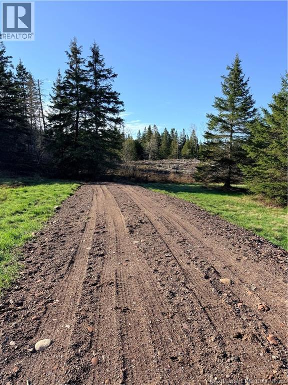 Lot C Smith Road, Titusville, New Brunswick  E5N 3T9 - Photo 2 - NB137343