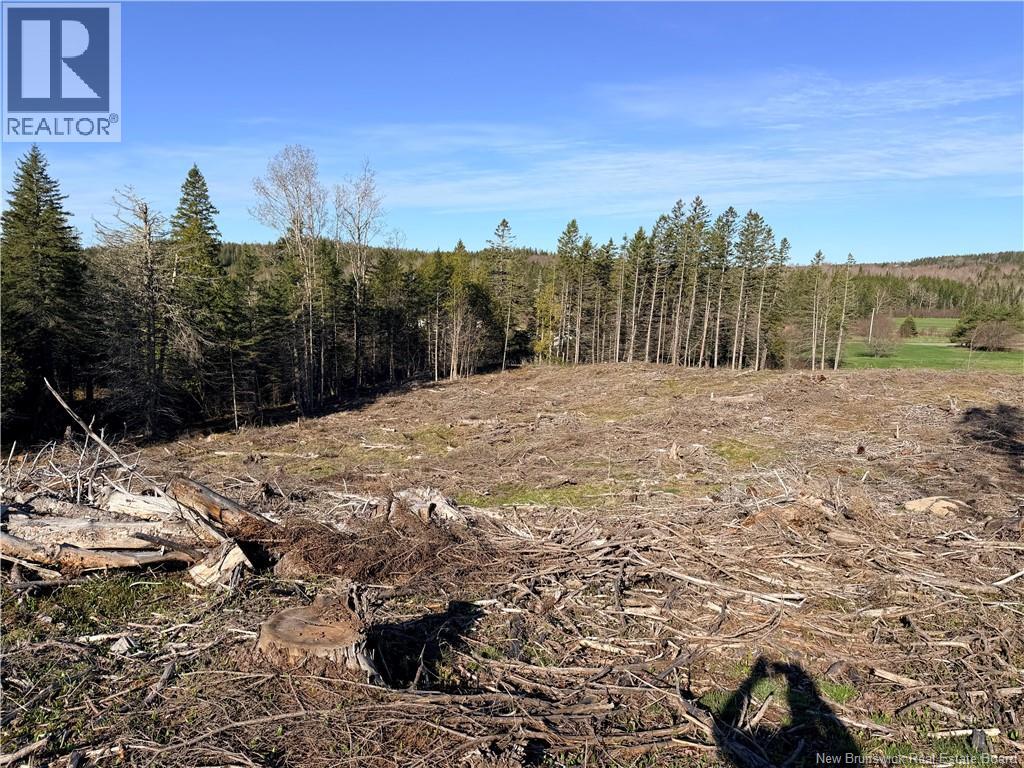 Lot C Smith Road, Titusville, New Brunswick  E5N 3T9 - Photo 4 - NB137343