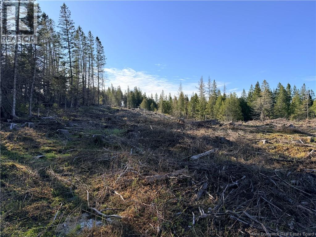 Lot C Smith Road, Titusville, New Brunswick  E5N 3T9 - Photo 5 - NB137343