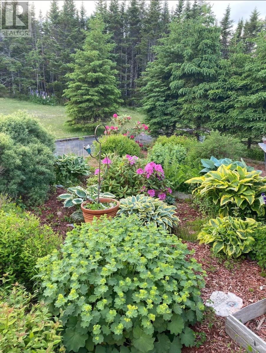 Photo 49
