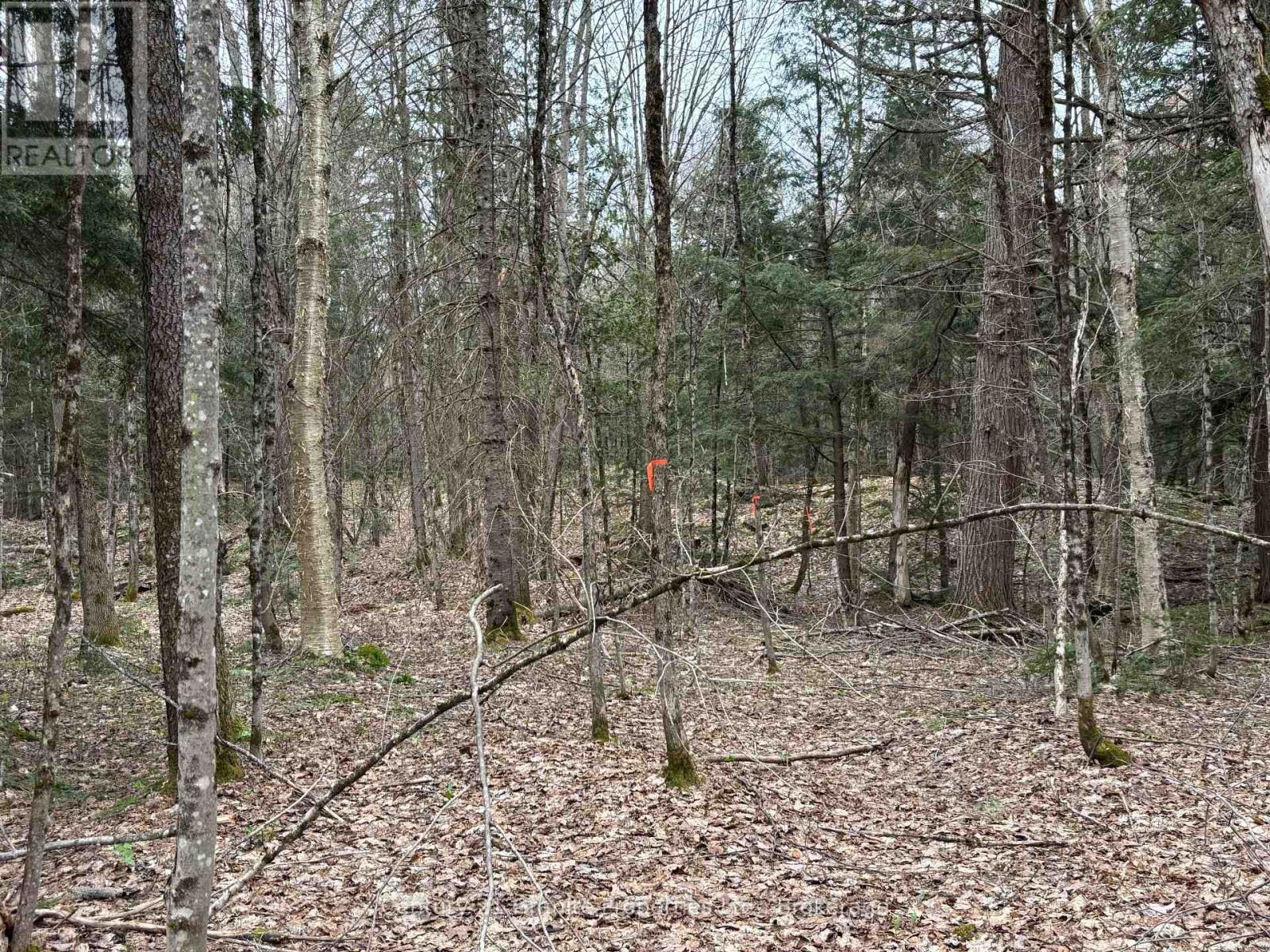 LOT 1 LOCH ERNE ROAD, mcdougall, Ontario