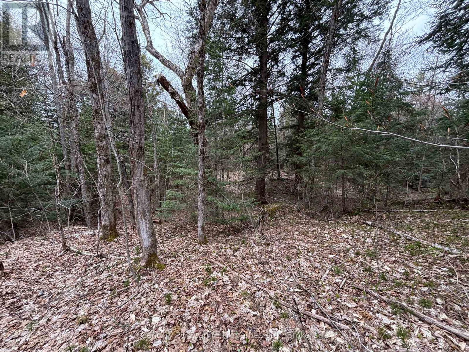 Lot 1 Loch Erne Road, Mcdougall, Ontario  P2A 2W7 - Photo 10 - X13100632