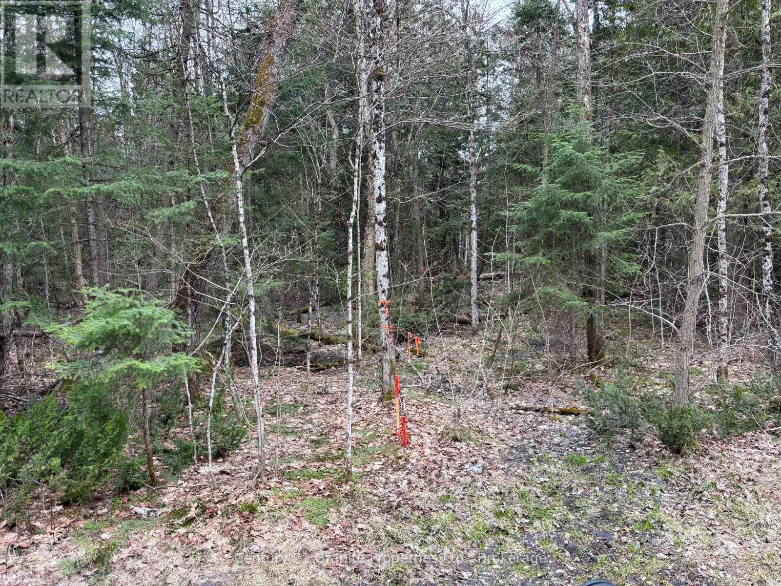 Lot 1 Loch Erne Road, Mcdougall, Ontario  P2A 2W7 - Photo 4 - X13100632