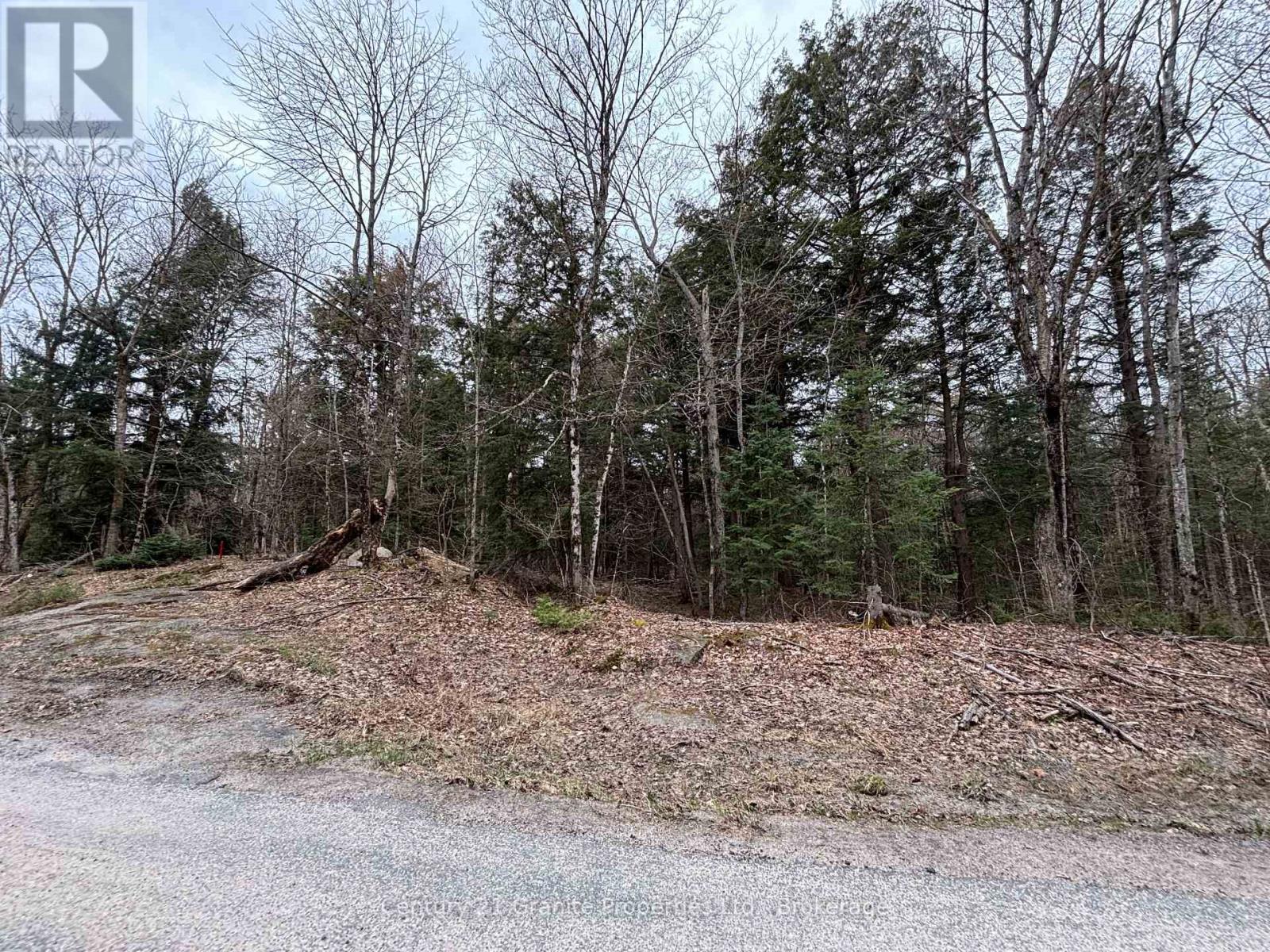 Lot 1 Loch Erne Road, Mcdougall, Ontario  P2A 2W7 - Photo 5 - X13100632