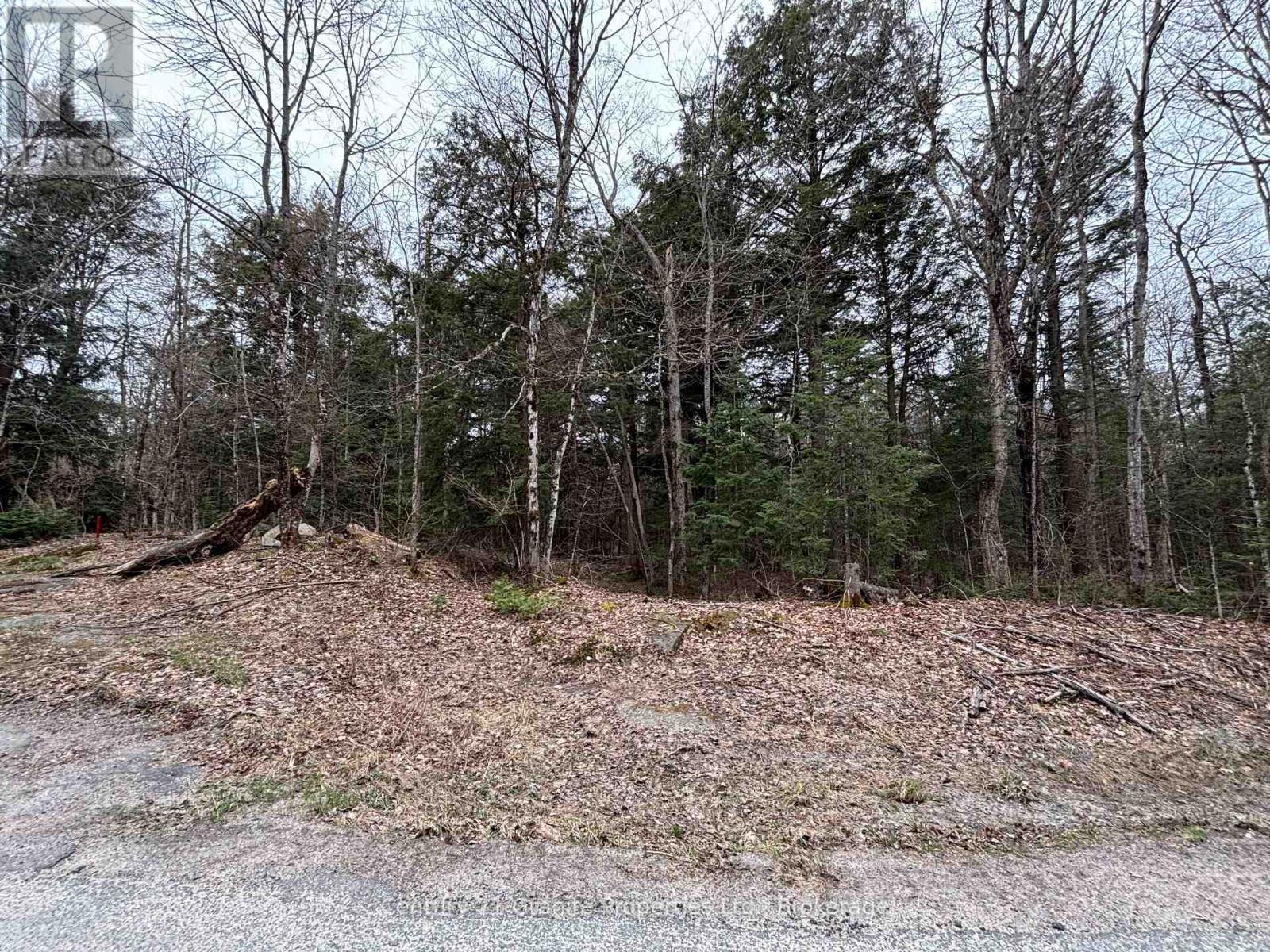 Lot 1 Loch Erne Road, Mcdougall, Ontario  P2A 2W7 - Photo 6 - X13100632
