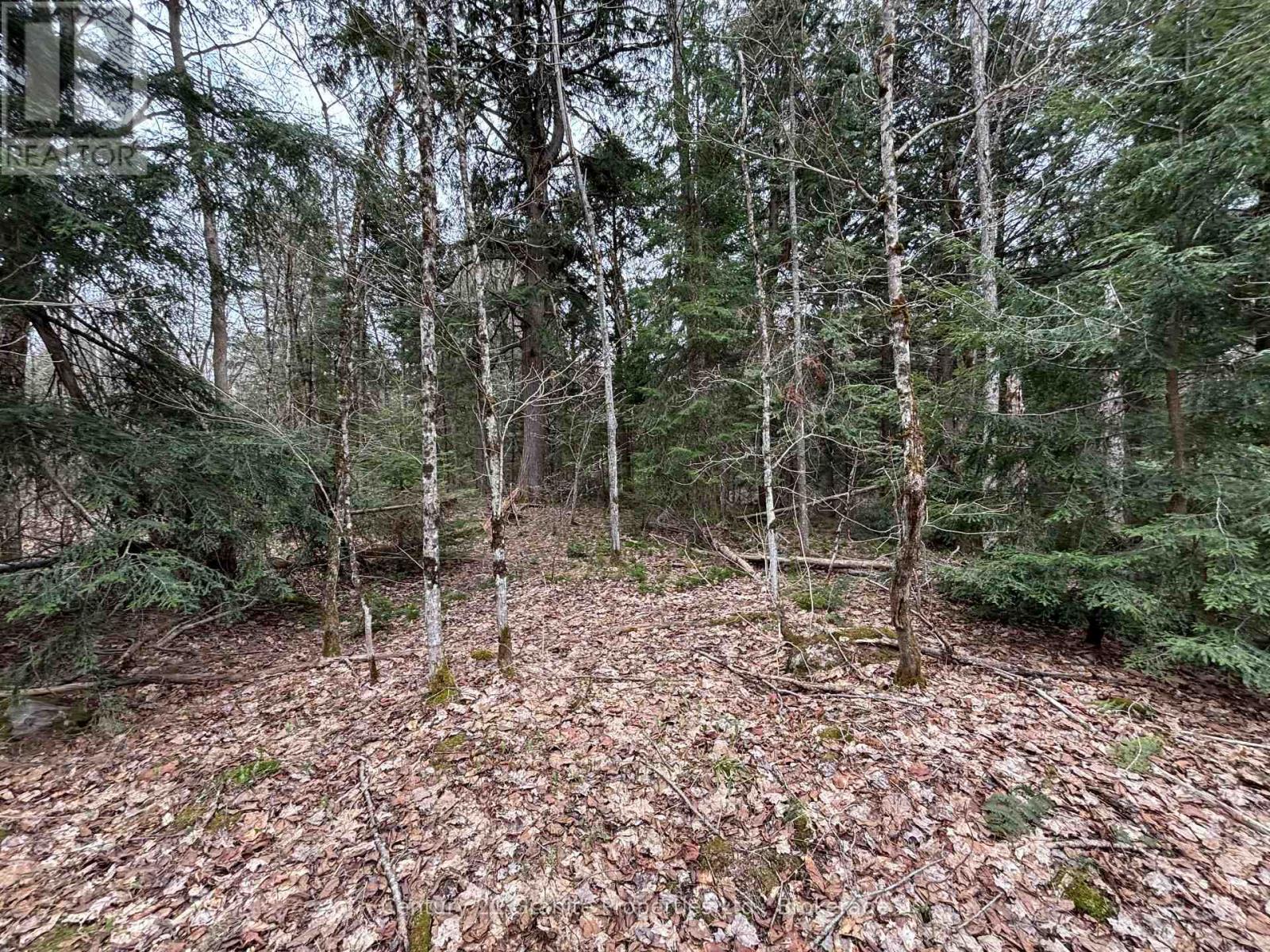 Lot 1 Loch Erne Road, Mcdougall, Ontario  P2A 2W7 - Photo 7 - X13100632
