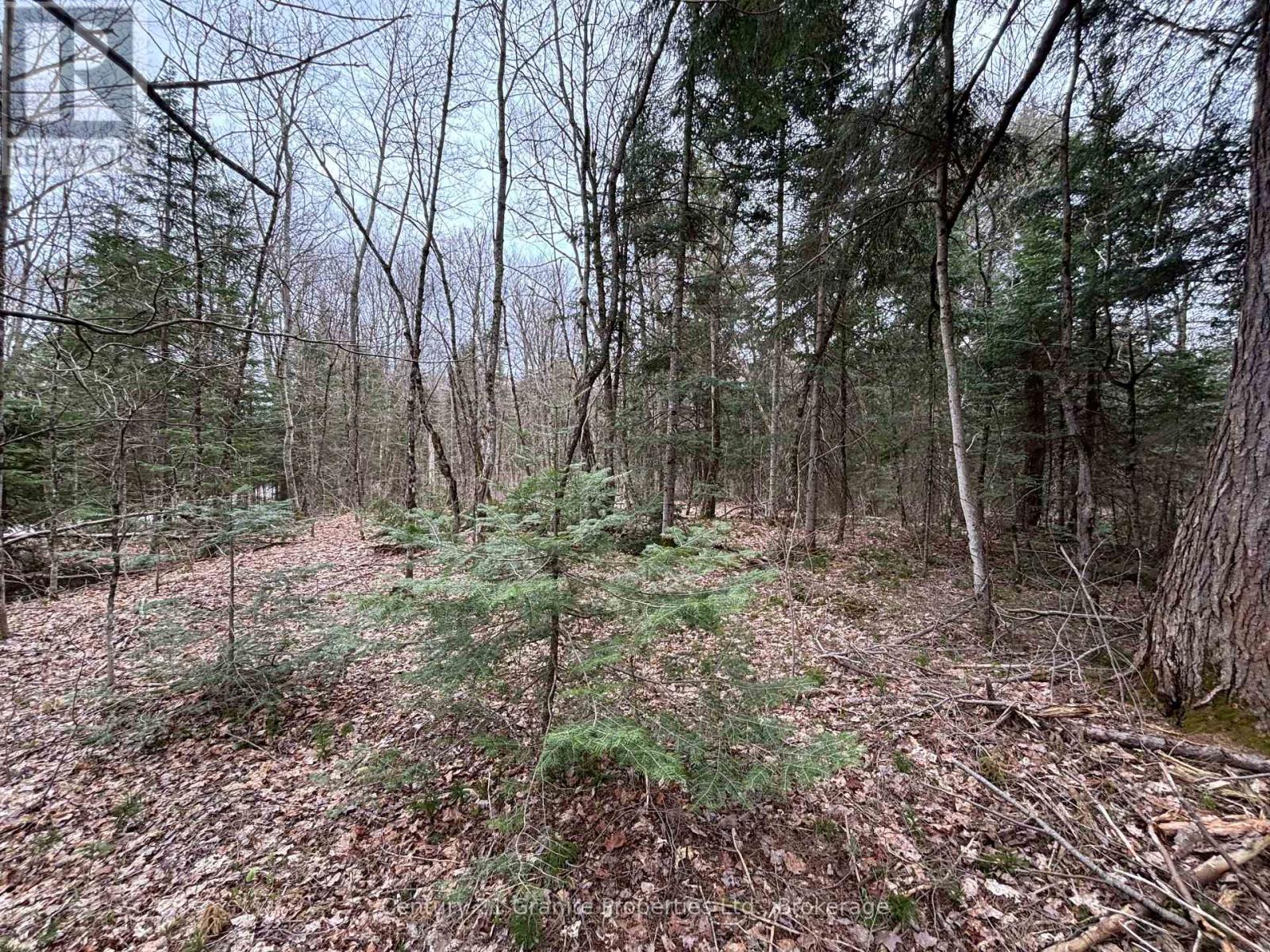 Lot 1 Loch Erne Road, Mcdougall, Ontario  P2A 2W7 - Photo 8 - X13100632