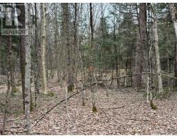 LOT 1 LOCH ERNE ROAD, mcdougall, Ontario