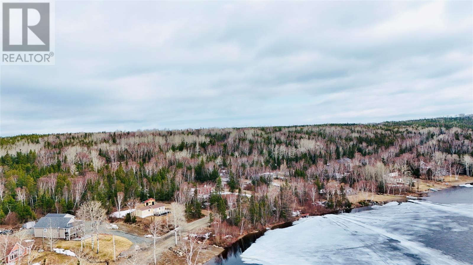 61 Crooked Lake, Badger, Newfoundland & Labrador  A0H 1A0 - Photo 5 - 1294832