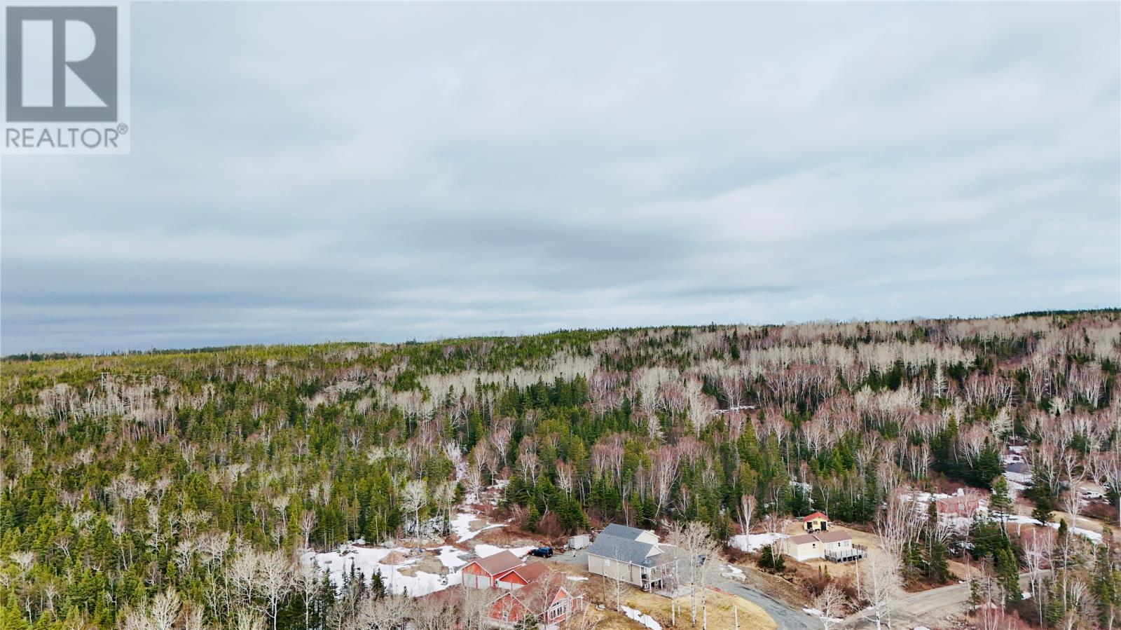 61 Crooked Lake, Badger, Newfoundland & Labrador  A0H 1A0 - Photo 6 - 1294832
