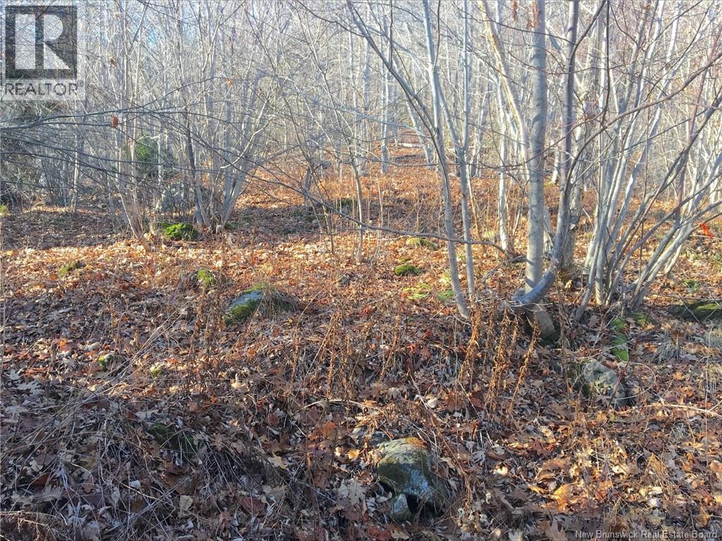 Norton Shore, Kingston, New Brunswick  E5N 2A5 - Photo 10 - NB132153