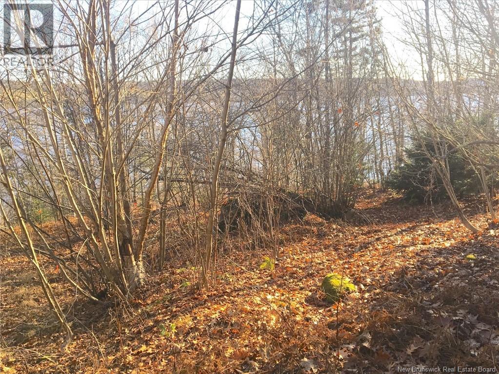 Norton Shore, Kingston, New Brunswick  E5N 2A5 - Photo 8 - NB132153