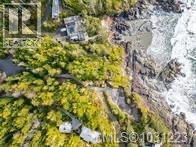 871 Moser Pl, Tofino, British Columbia  V0R 2Z0 - Photo 11 - 1031223
