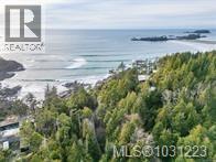 871 Moser Pl, Tofino, British Columbia  V0R 2Z0 - Photo 12 - 1031223
