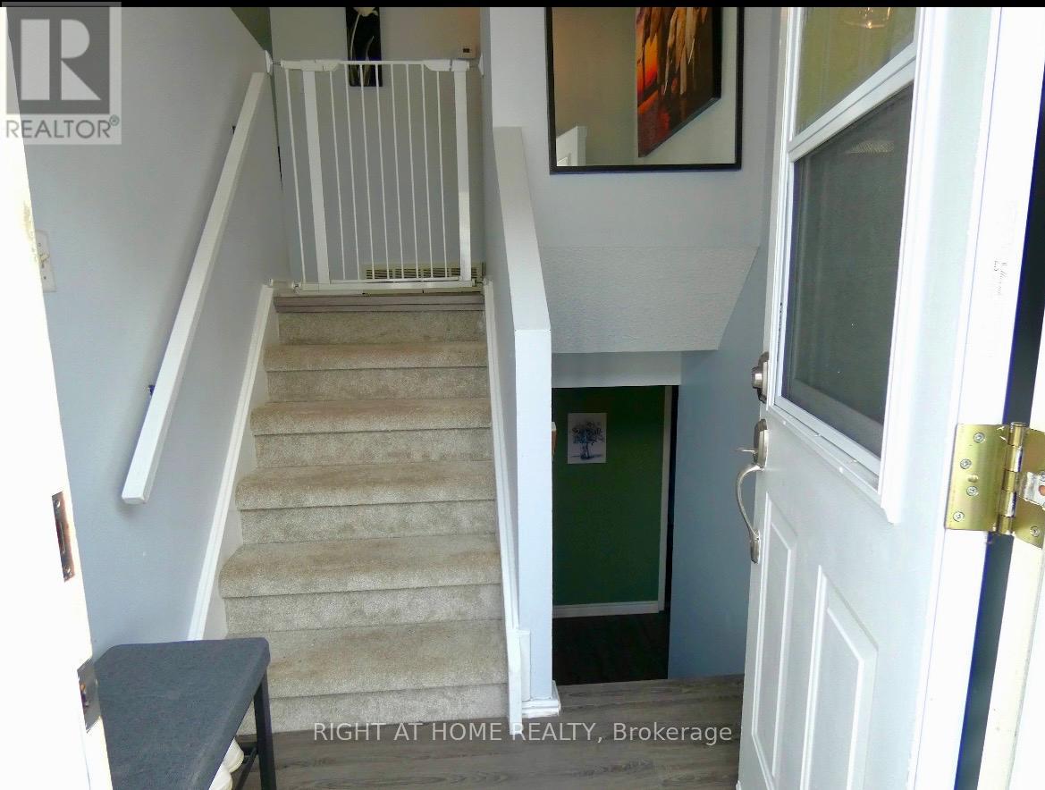 169 Castlefrank Road, Ottawa, Ontario  K2L 1T3 - Photo 30 - X13076050