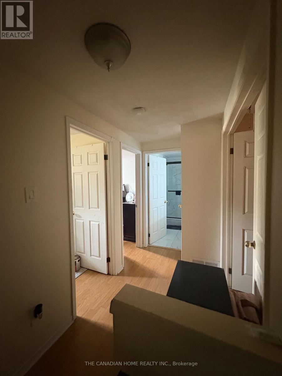 45 Hansen Road E, Brampton, Ontario  L6V 3C5 - Photo 16 - W13099742