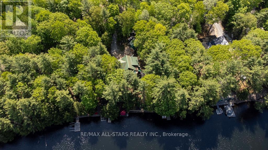 1130 Towering Oaks Drive, Minden Hills (Lutterworth), Ontario  K0M 2L0 - Photo 49 - X13101094