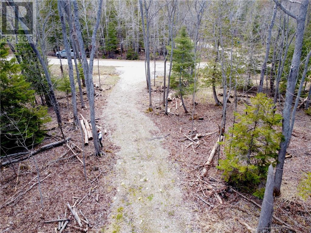 Lot 9 Fruchey Street, Kagawong, Ontario  P0P 1J0 - Photo 12 - 2127348