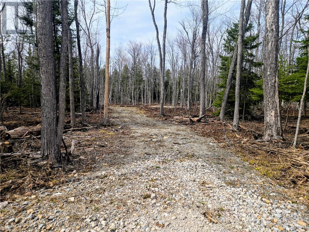 Lot 9 Fruchey Street, Kagawong, Ontario  P0P 1J0 - Photo 13 - 2127348