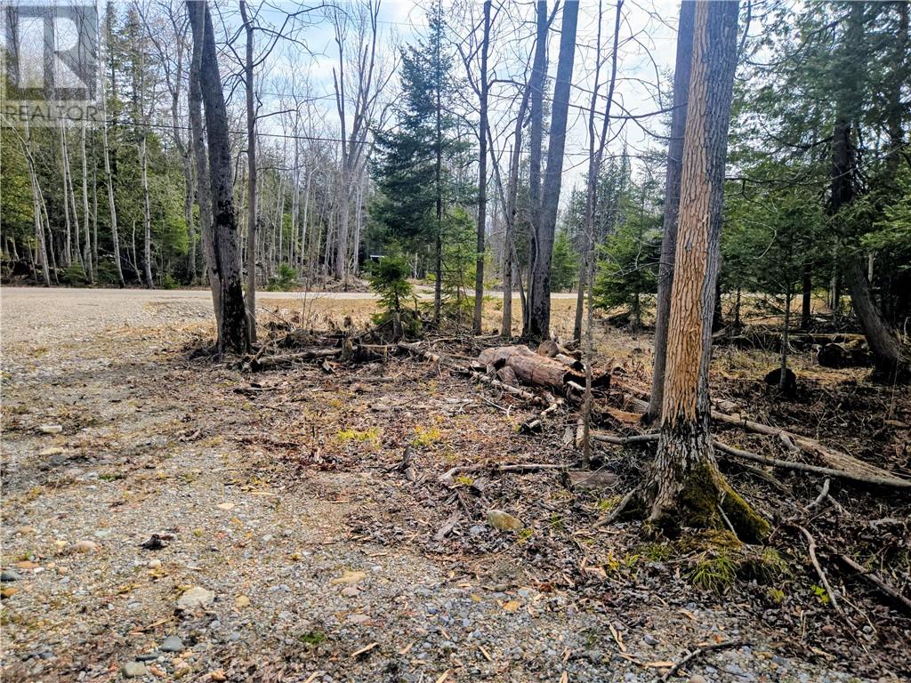 Lot 9 Fruchey Street, Kagawong, Ontario  P0P 1J0 - Photo 14 - 2127348
