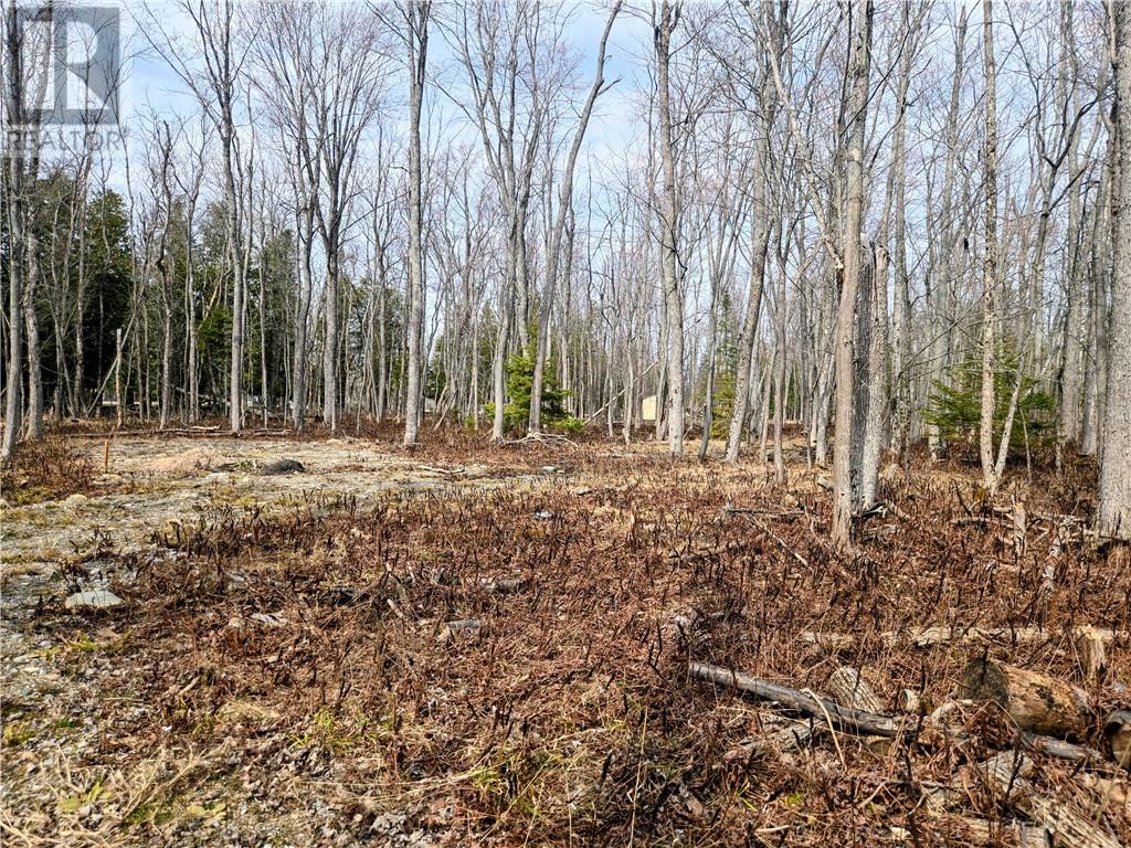 Lot 9 Fruchey Street, Kagawong, Ontario  P0P 1J0 - Photo 3 - 2127348
