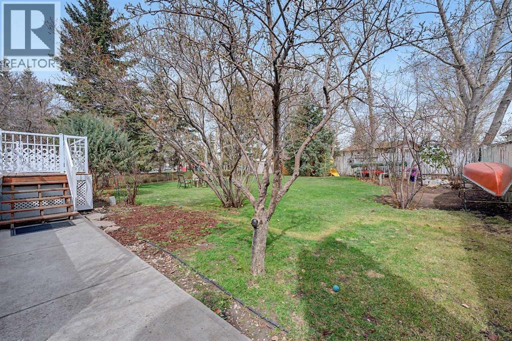 picture 41
