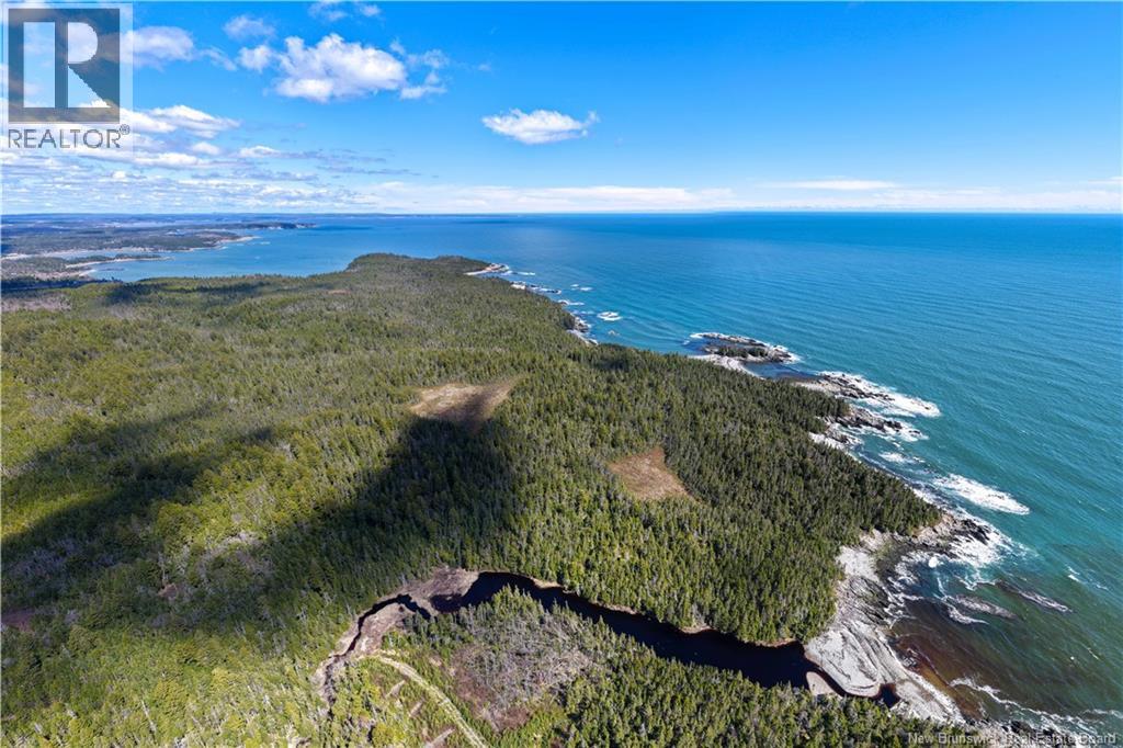 00 Paul Road, Seeleys Cove, New Brunswick  E5H 2E6 - Photo 12 - NB139063