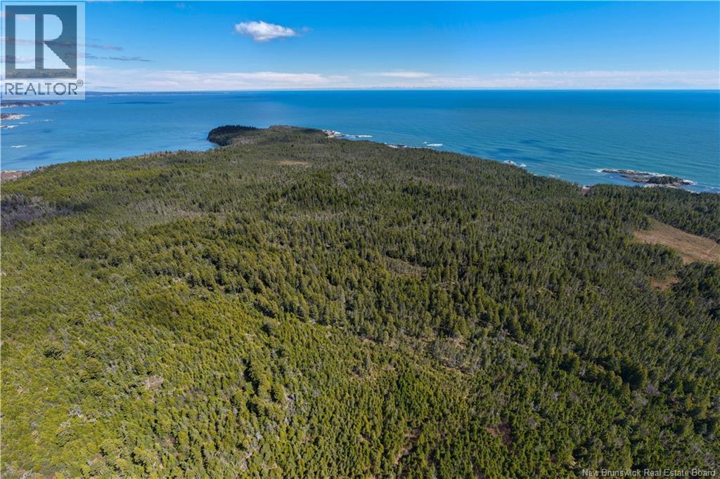 00 Paul Road, Seeleys Cove, New Brunswick  E5H 2E6 - Photo 13 - NB139063